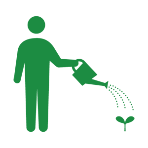person watering plants